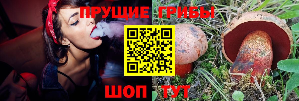 Кропоткин  Псилоцибиновые грибы Psilocybe  Псилоцибиновые грибы MAGIC MUSHROOMS  магазин  наркотиков  Вход с VPN 